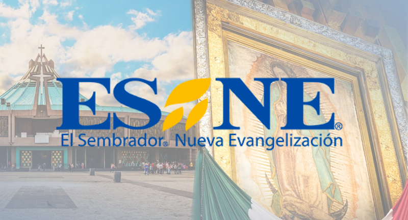 Mexico City with ESNE